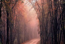 世界杯外围APP -沪滇携手忆峥嵘 鲁口哨畔(pàn)奏壮歌——纪念红军长征胜利90周年主题音(yīn)乐党课在寻甸举行