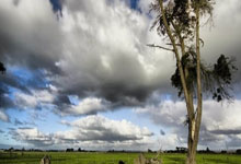 世界杯外围APP -沪滇携手忆峥嵘 鲁口哨畔(pàn)奏壮歌——纪念红军长征胜利90周年主题音(yīn)乐党课在寻甸举行