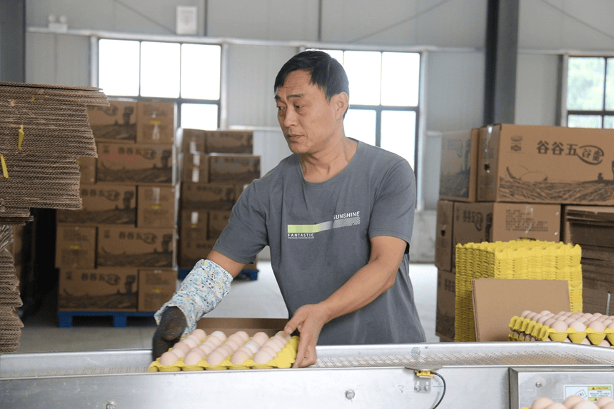 从“一枚蛋”到“一条链” ！松桃贯通产业闭环 赋能生态循环农业