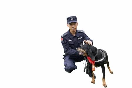 水潭边找到老人 警犬“闺秀”又立功